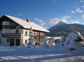 Отель Apartment Deml, Флахау